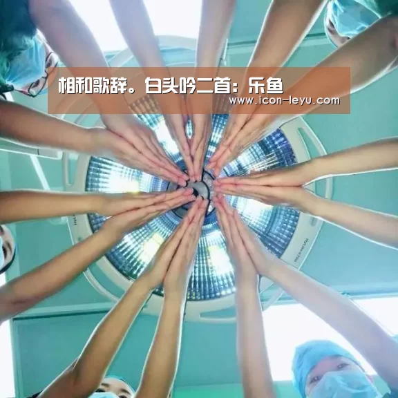 乐鱼官网