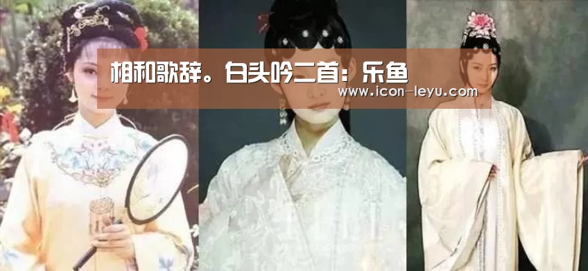 乐鱼官网